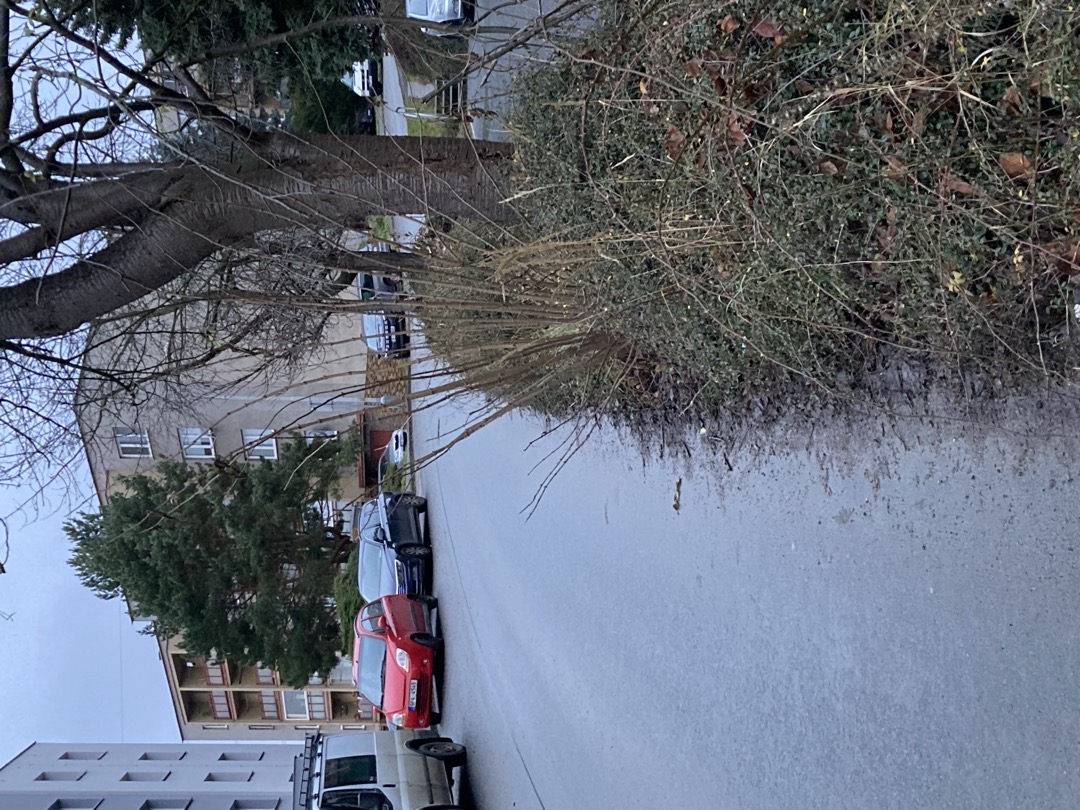 Fotografie nahlášení