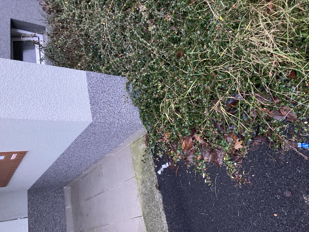 Fotografie nahlášení