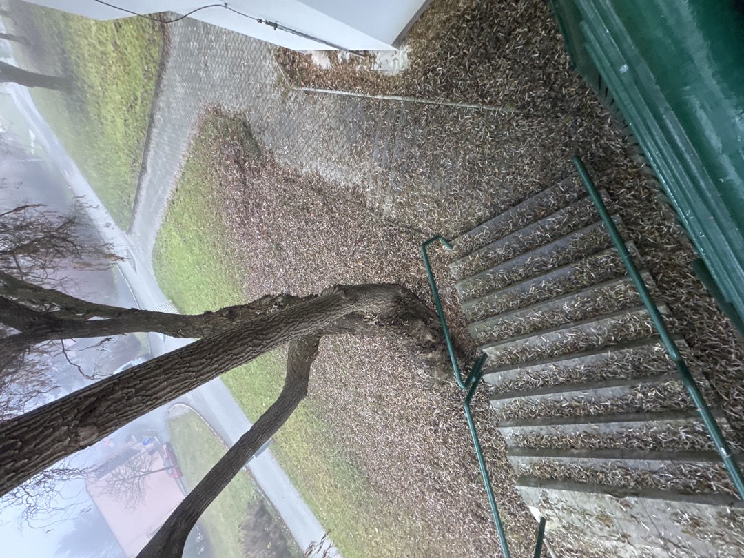 Fotografie nahlášení