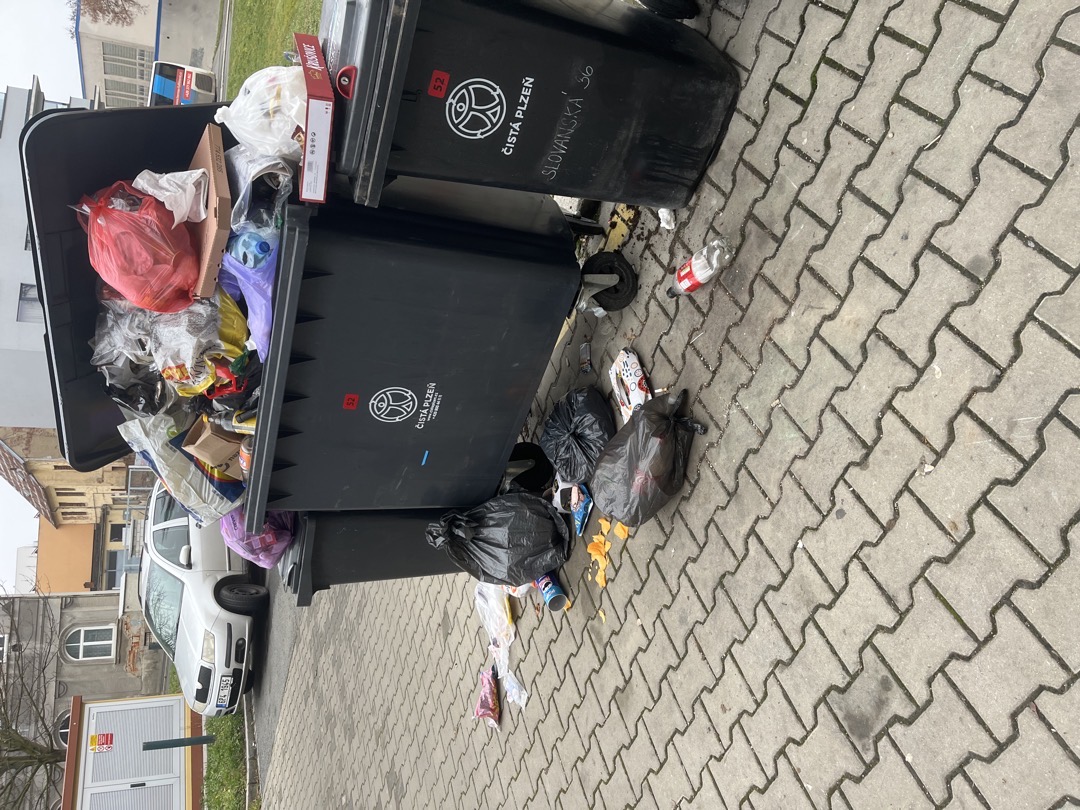 Přeplňená popelnice