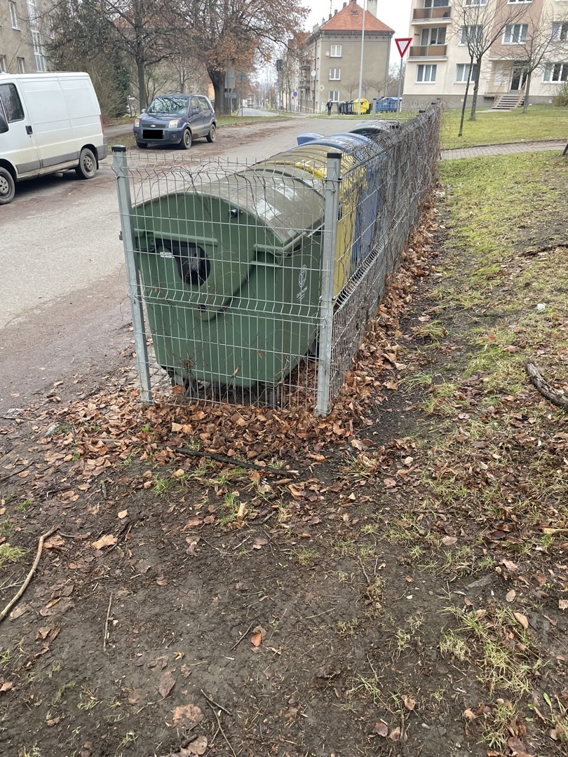 Nepovedený úklid listí