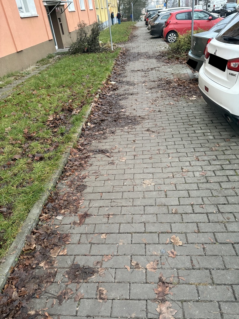 Vrstvy tlejícího listí