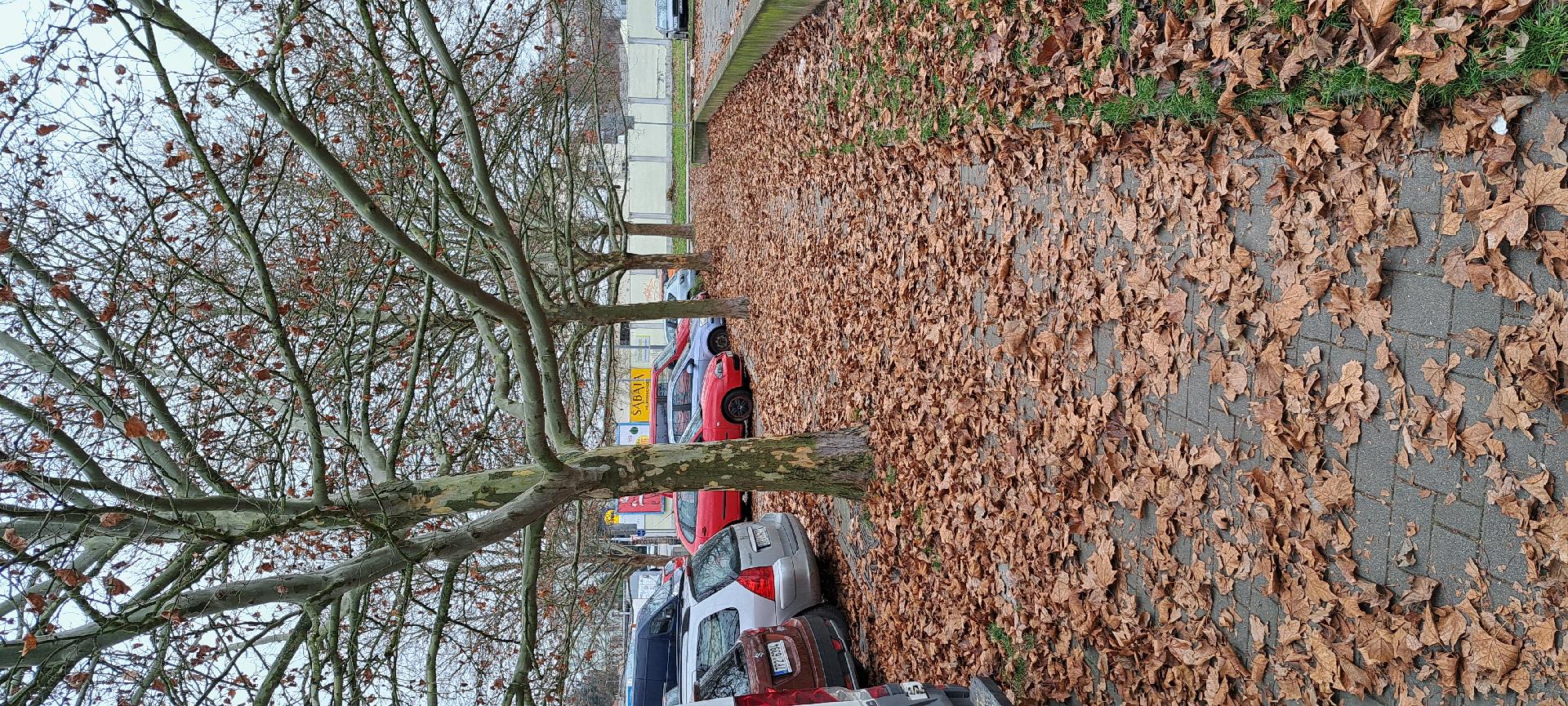 Úklid parkoviště a chodníků