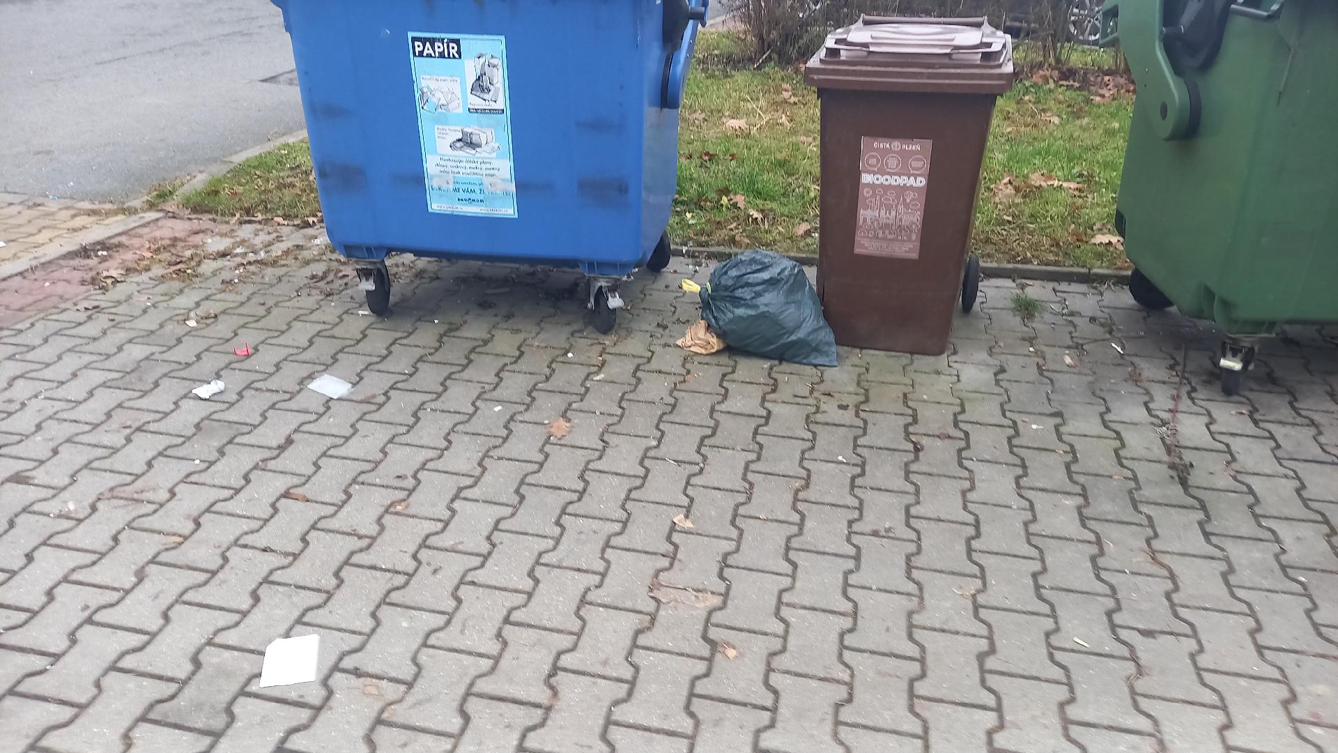 Nepořádek u kontejnerů