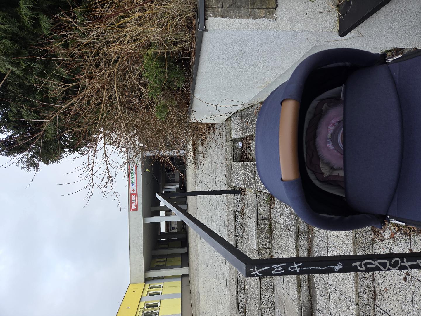 Keře k ostříhání