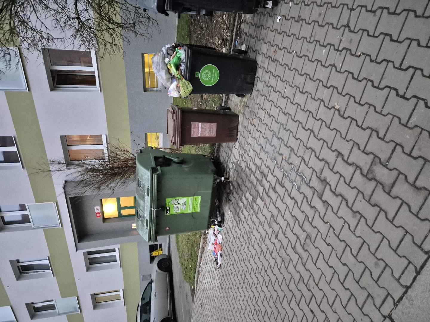 Přetékající popelnice, bordel