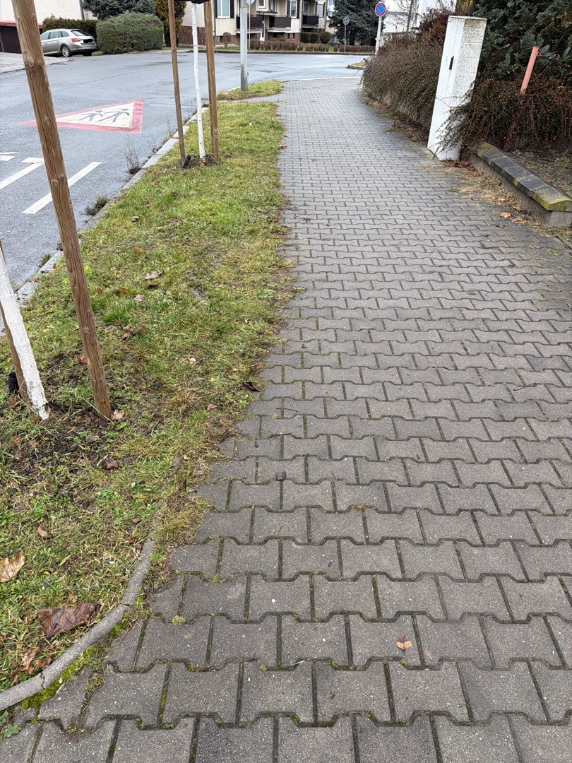 Zarůstající chodník