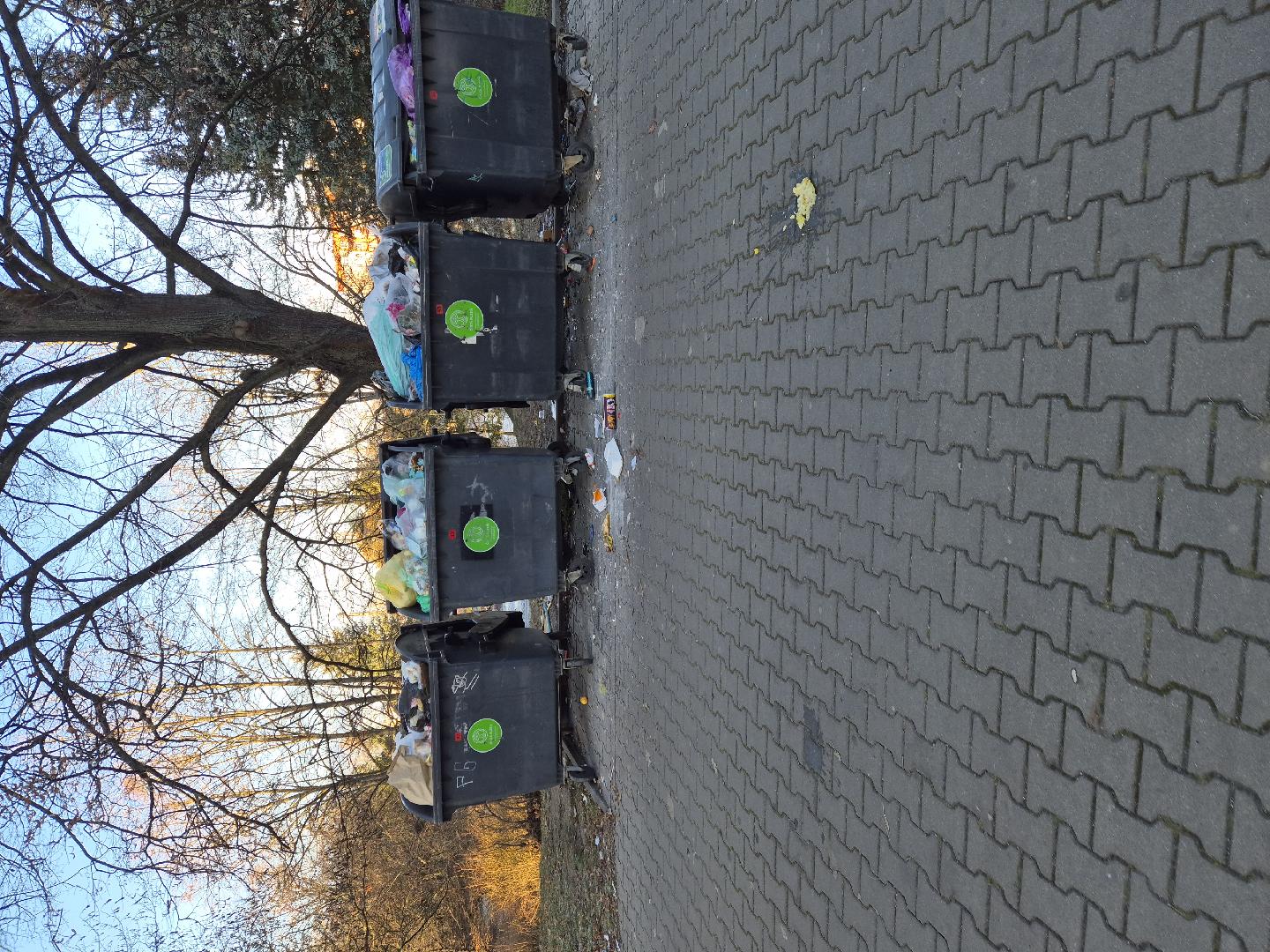 Vyházené popelnice