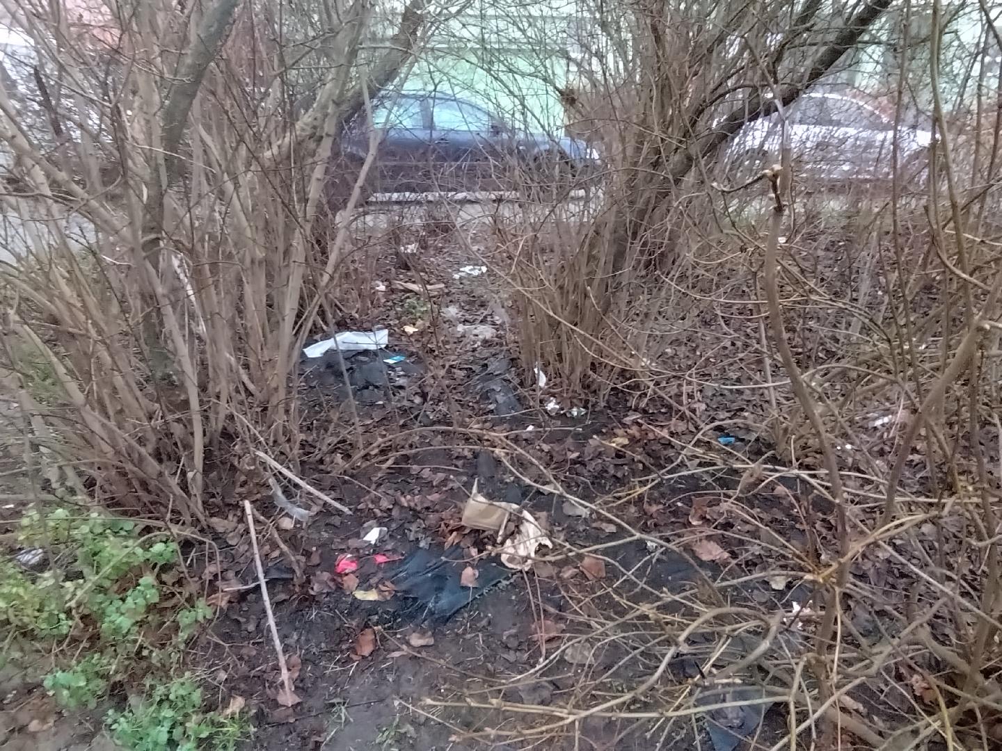 Odpadky + keře bez údržby