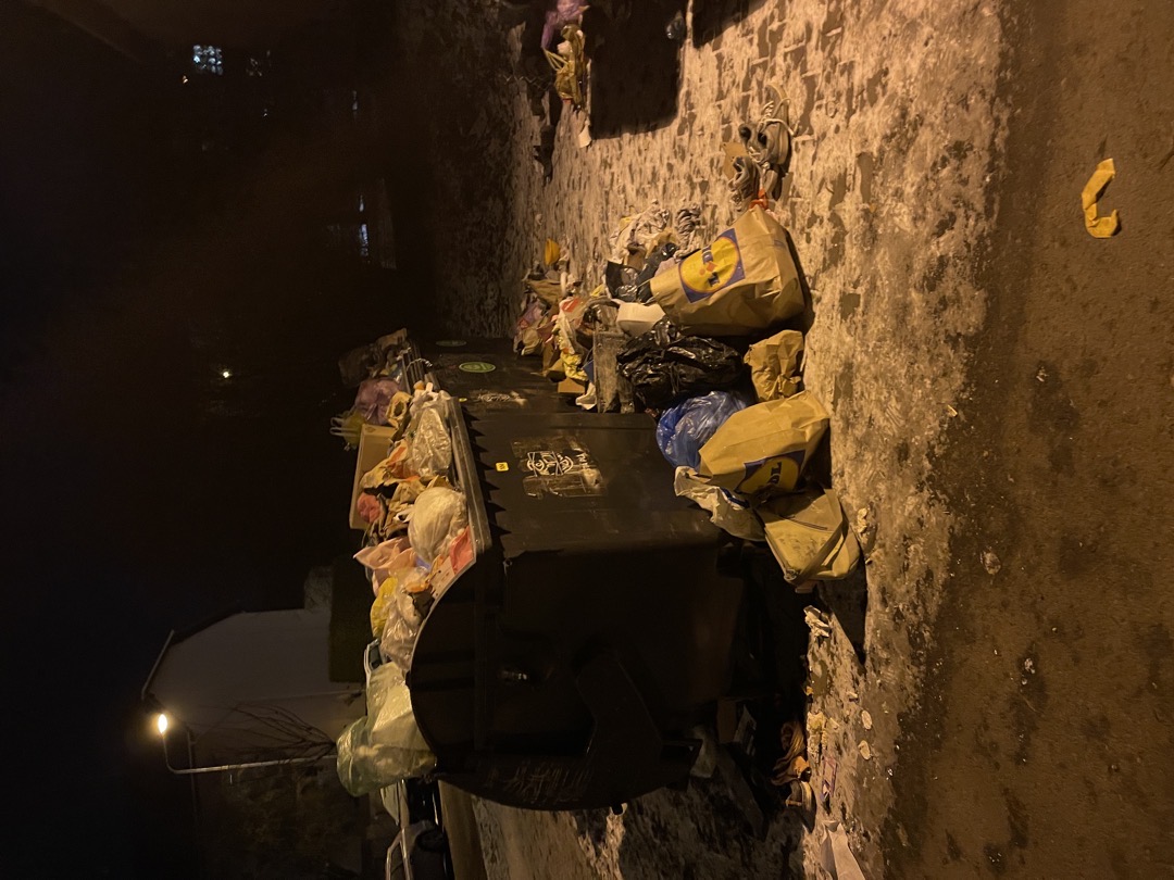 Nepořádek okolo popelnic