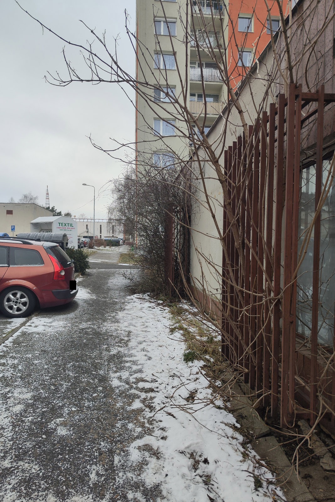 Keře zasahující do chodníku