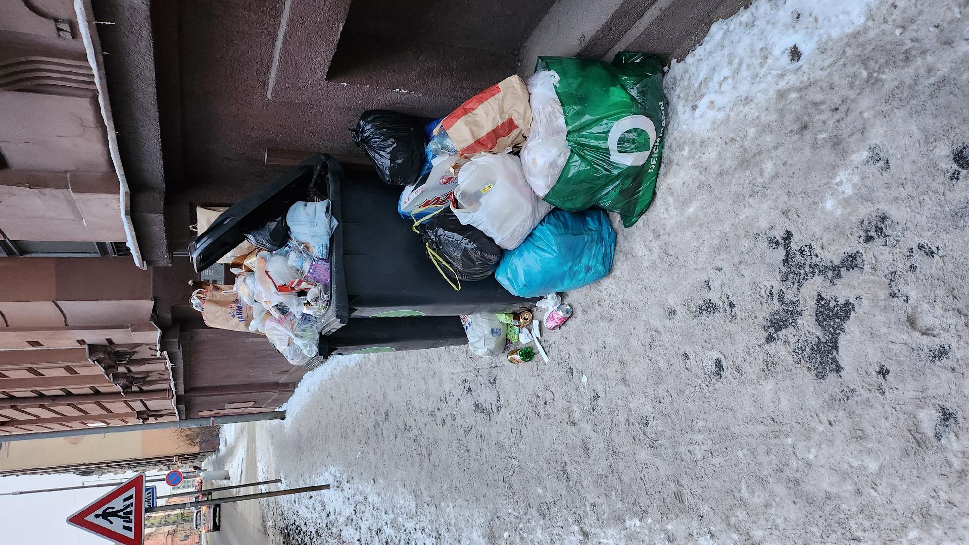 Binec kolem popelnic na ulici