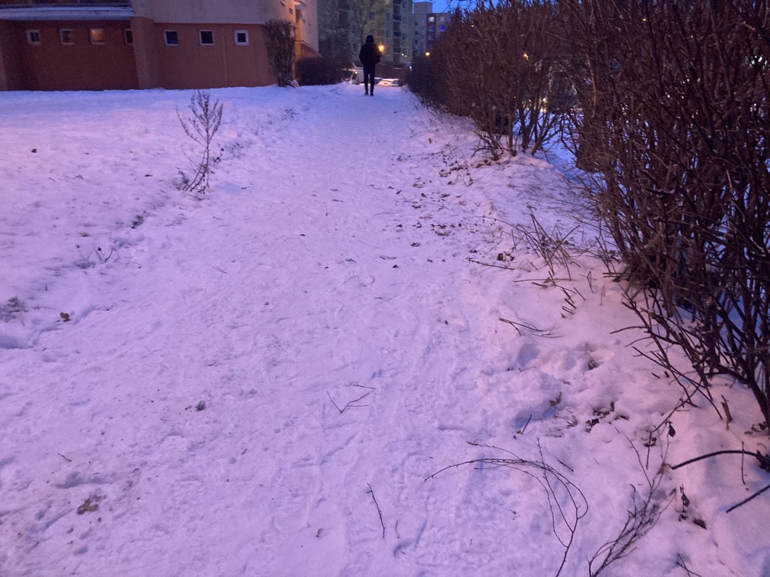 Neuklizené chodníky