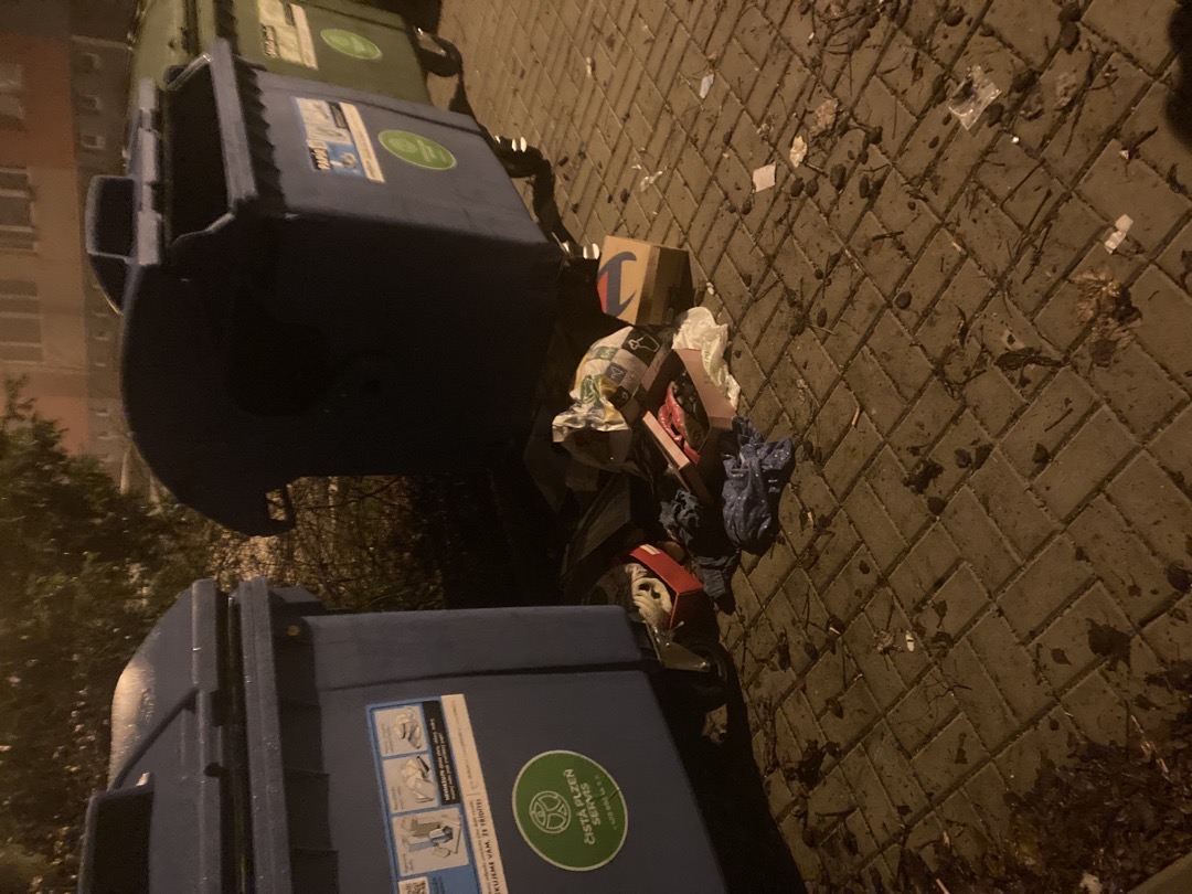 Odpadky kolem popelnic