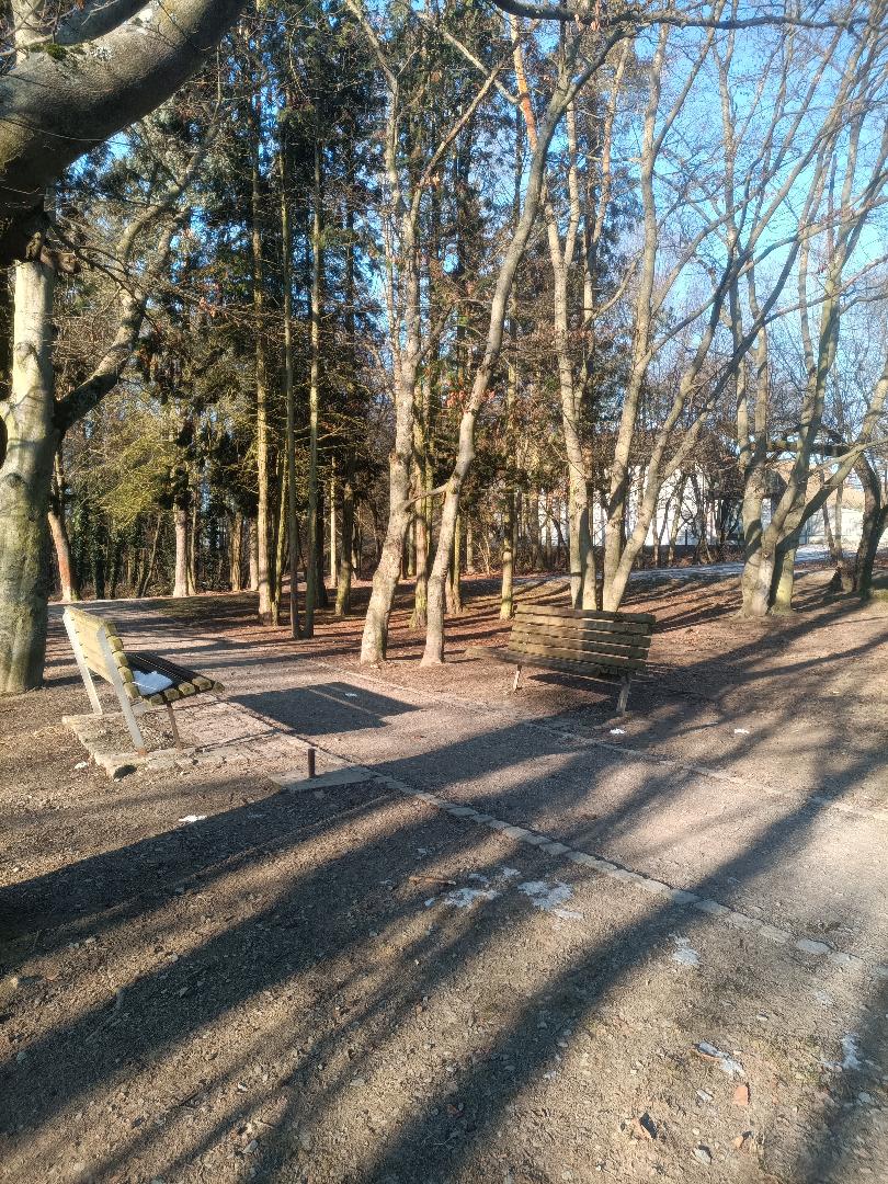 Zničený odpadkový koš