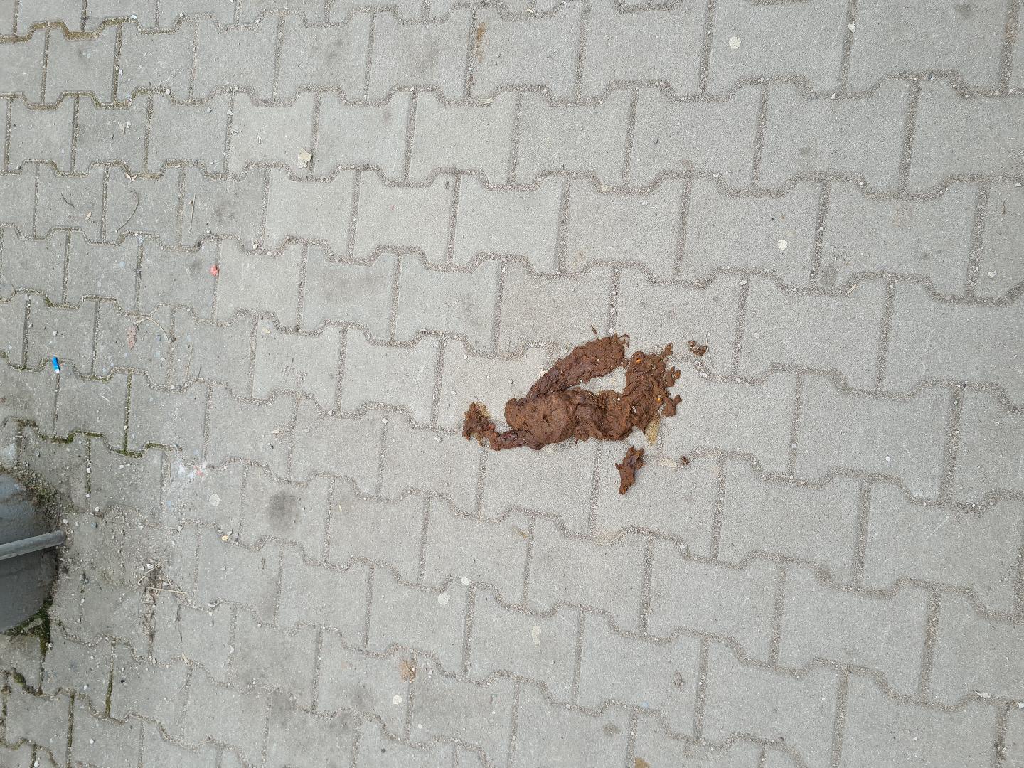 Trus uprostřed zastávky