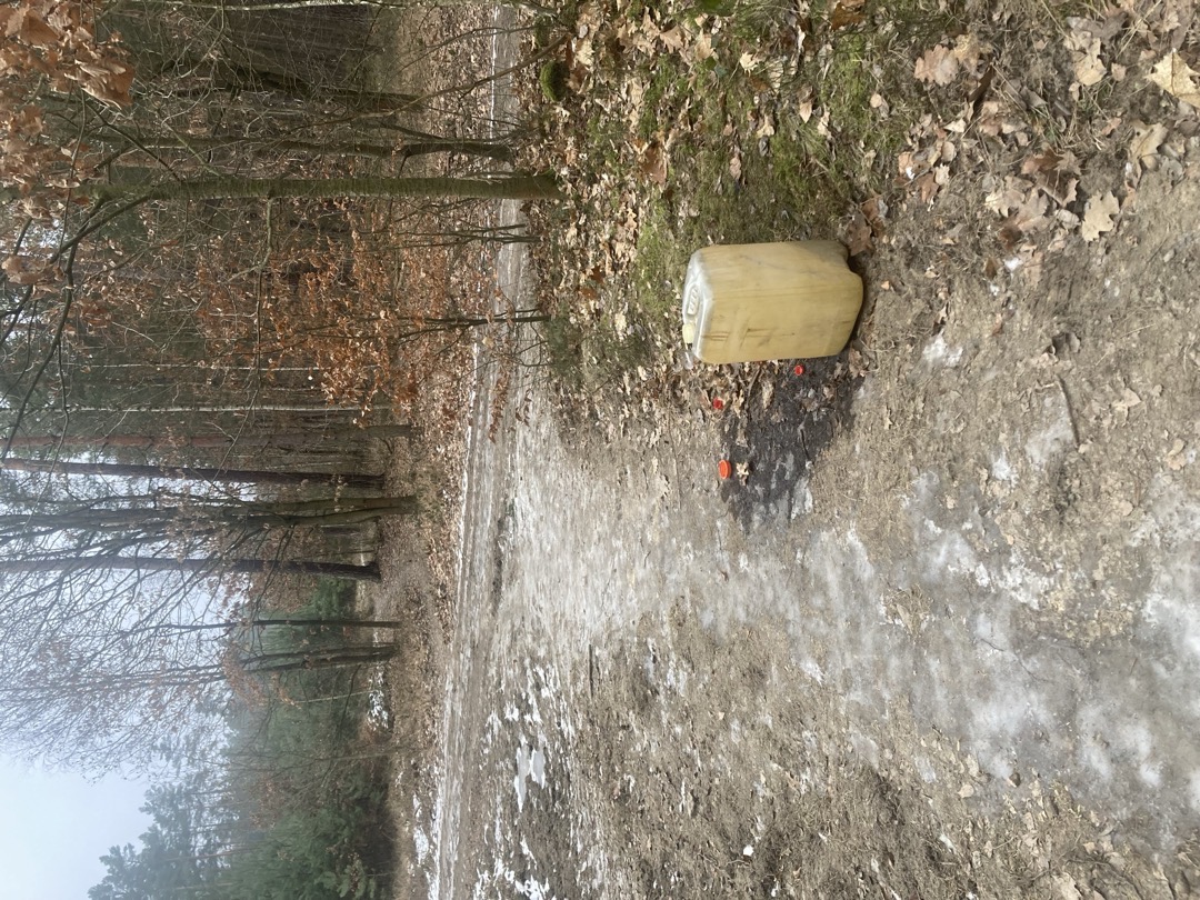 Znečištění lesa u Valchy