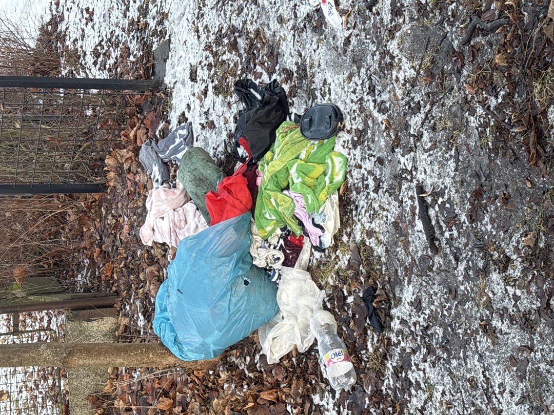 Odpad v Borském parku