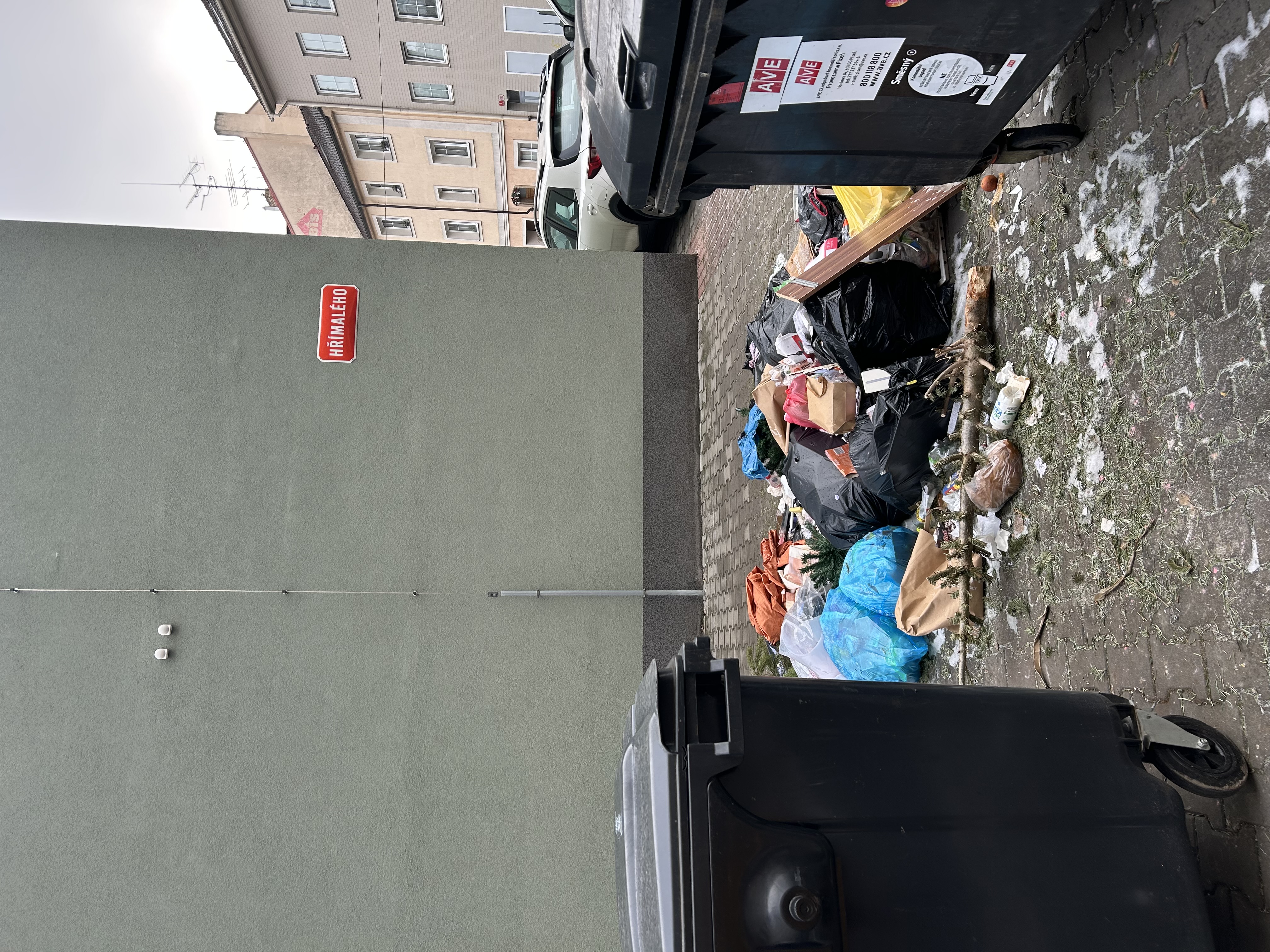 Nepořádek u popelnic