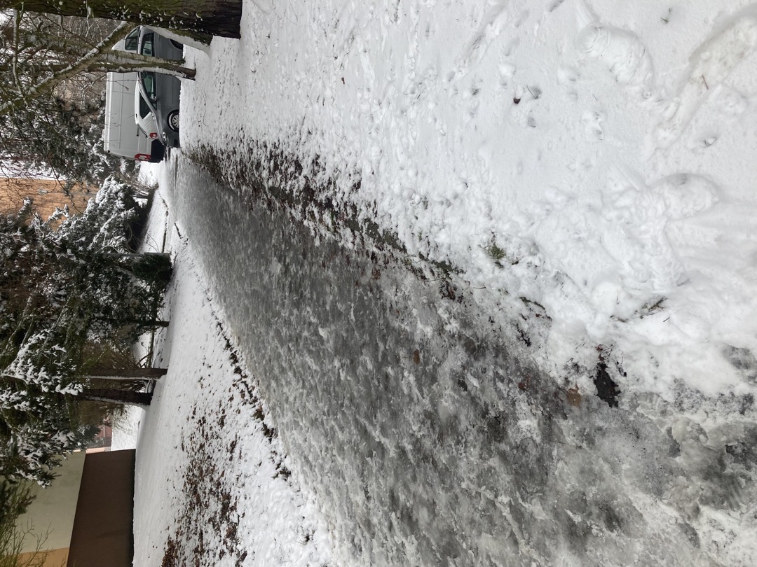 Neudržovaný chodník