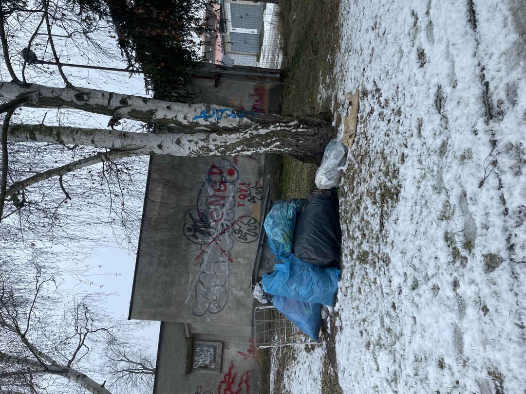 Černá skládka u garáži