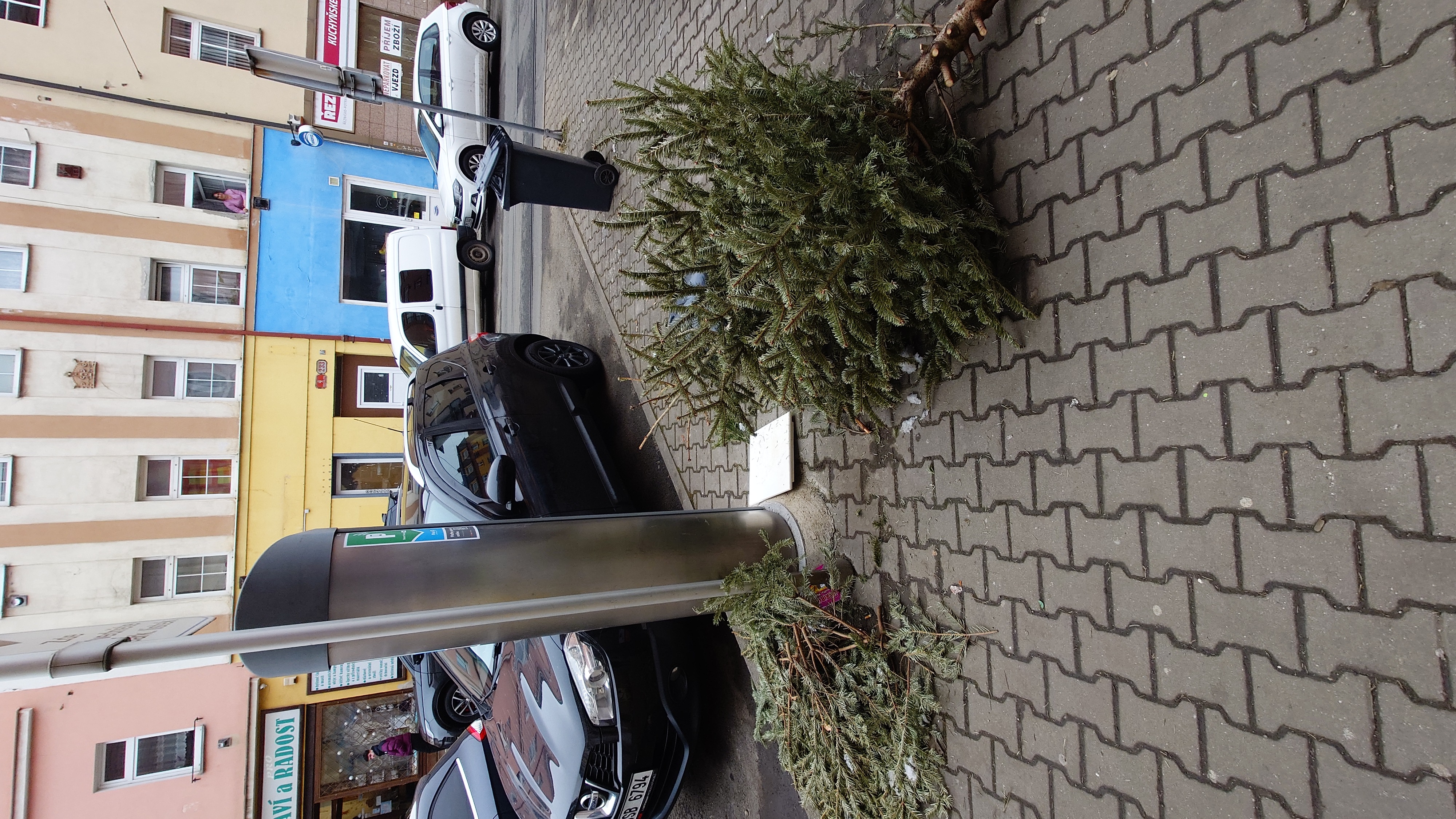 Neodvezené vánoční stromky