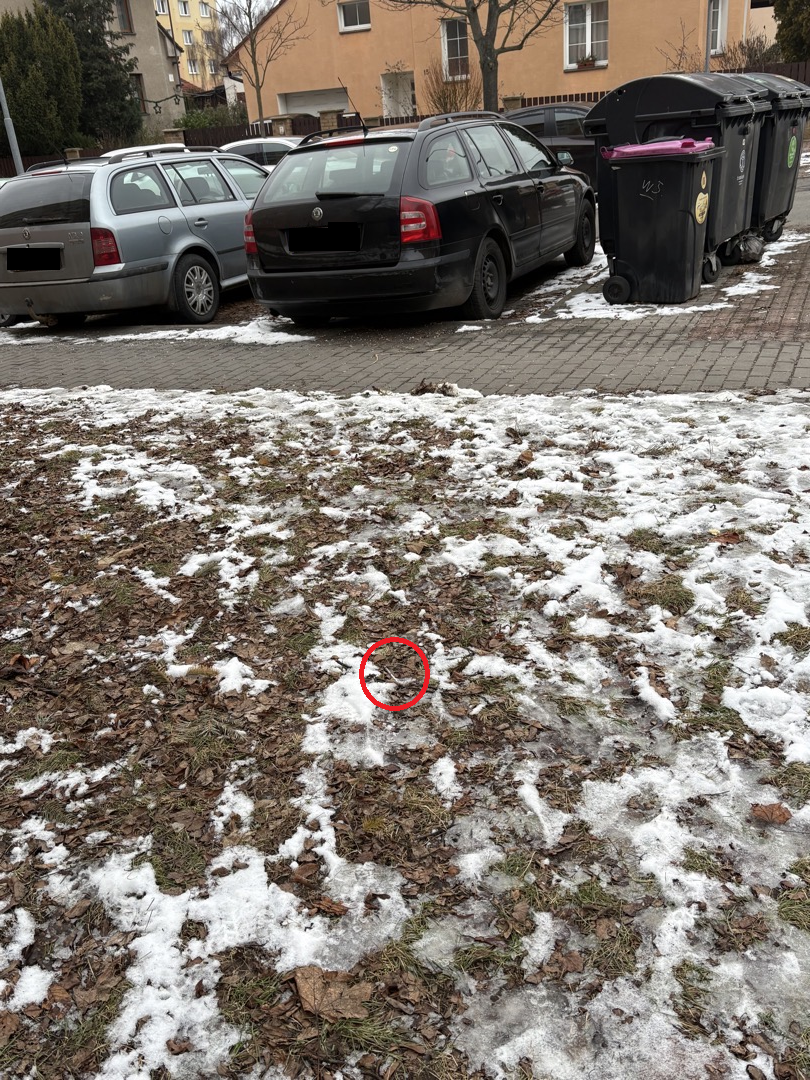 Injekční stříkačka