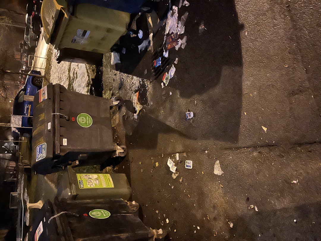 Odpadky poházené u kontejnerů