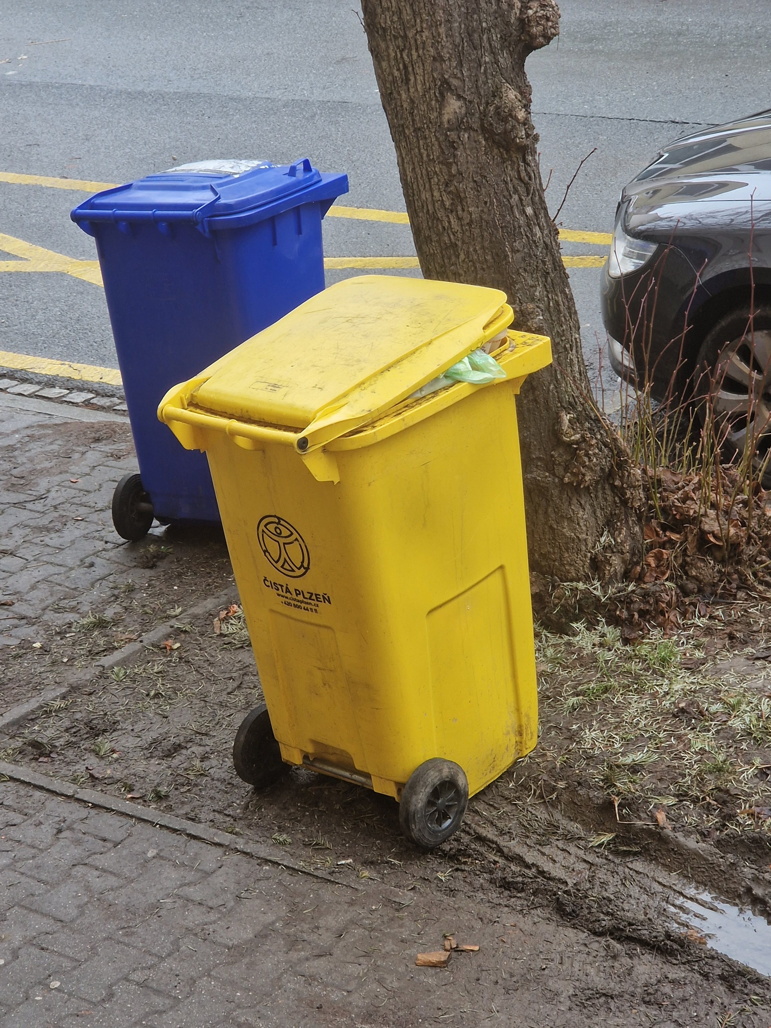 Nevyvezená popelnice s plasty