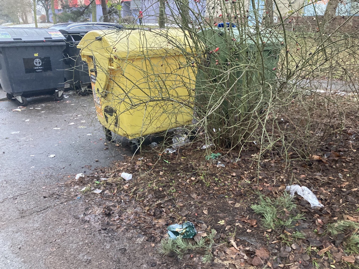 Neuklizené prostranství