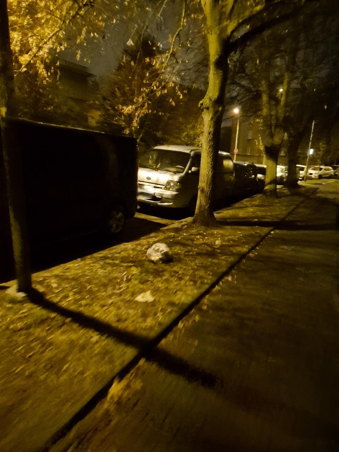 Vyházená popelnice