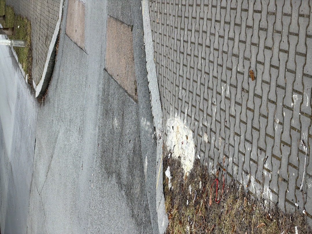 znečištěné okolí kontejneru 