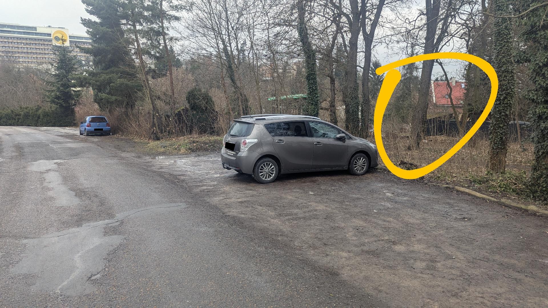 černá skládka v lese