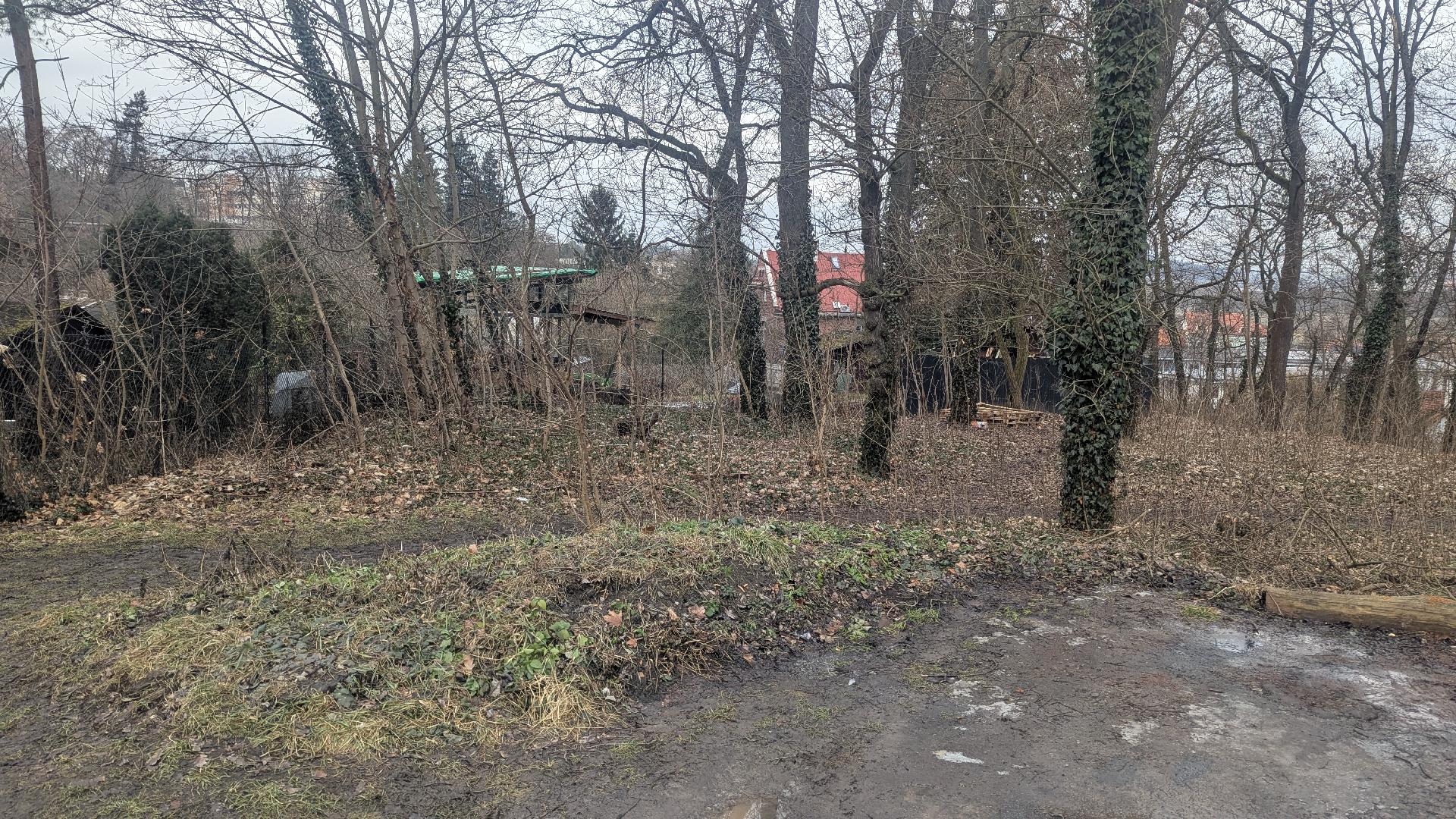 černá skládka v lese