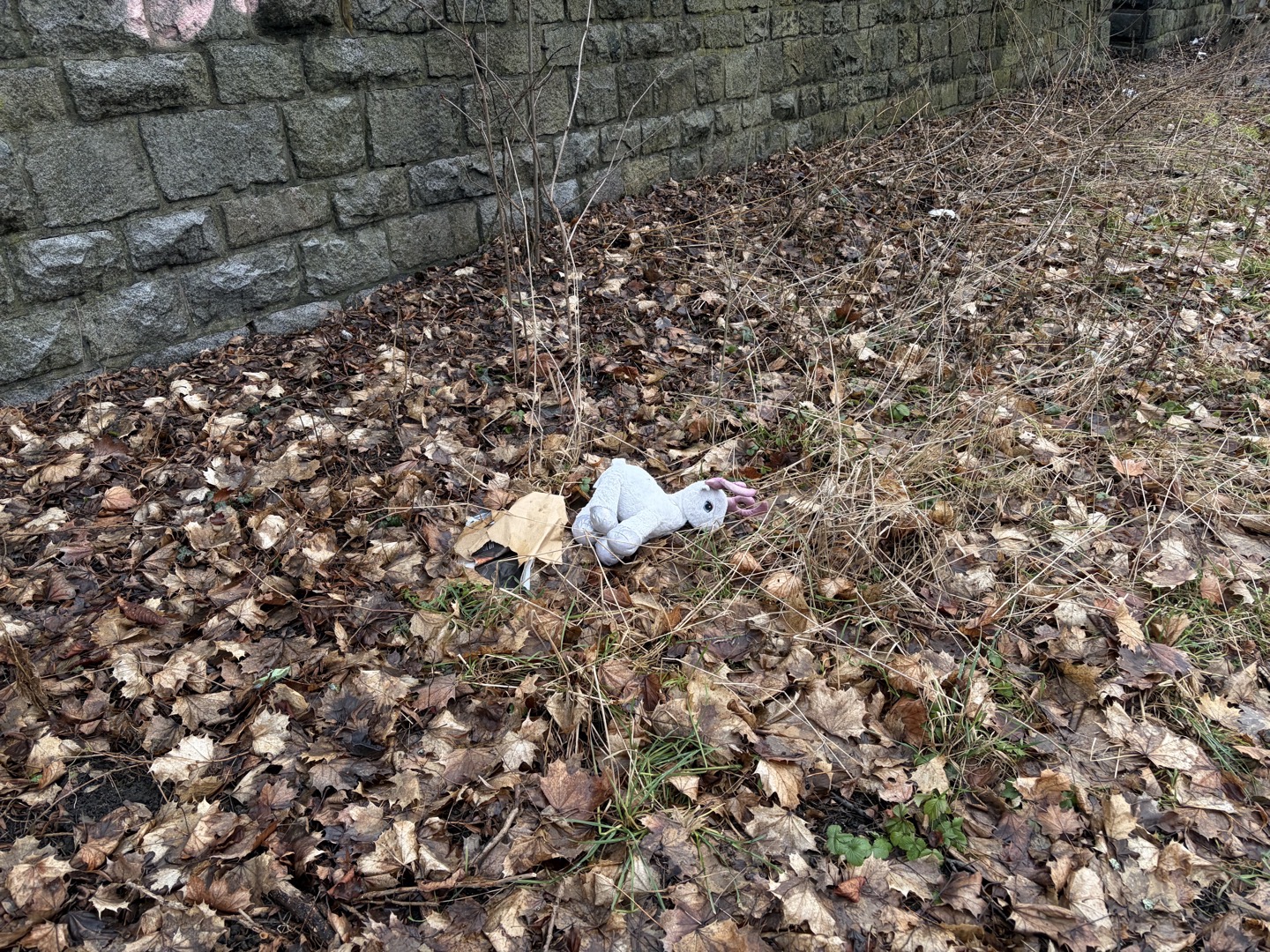 Nepořádek na náplavce plovárny