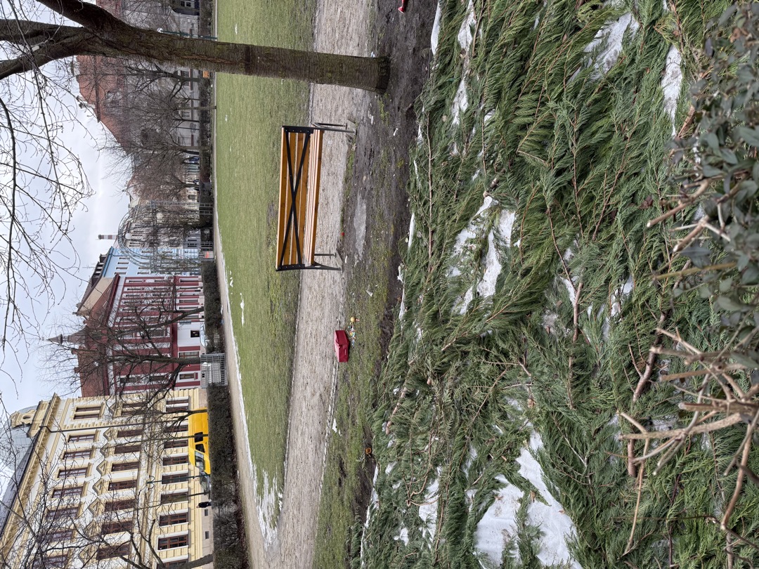 nepořádek + exkrementy