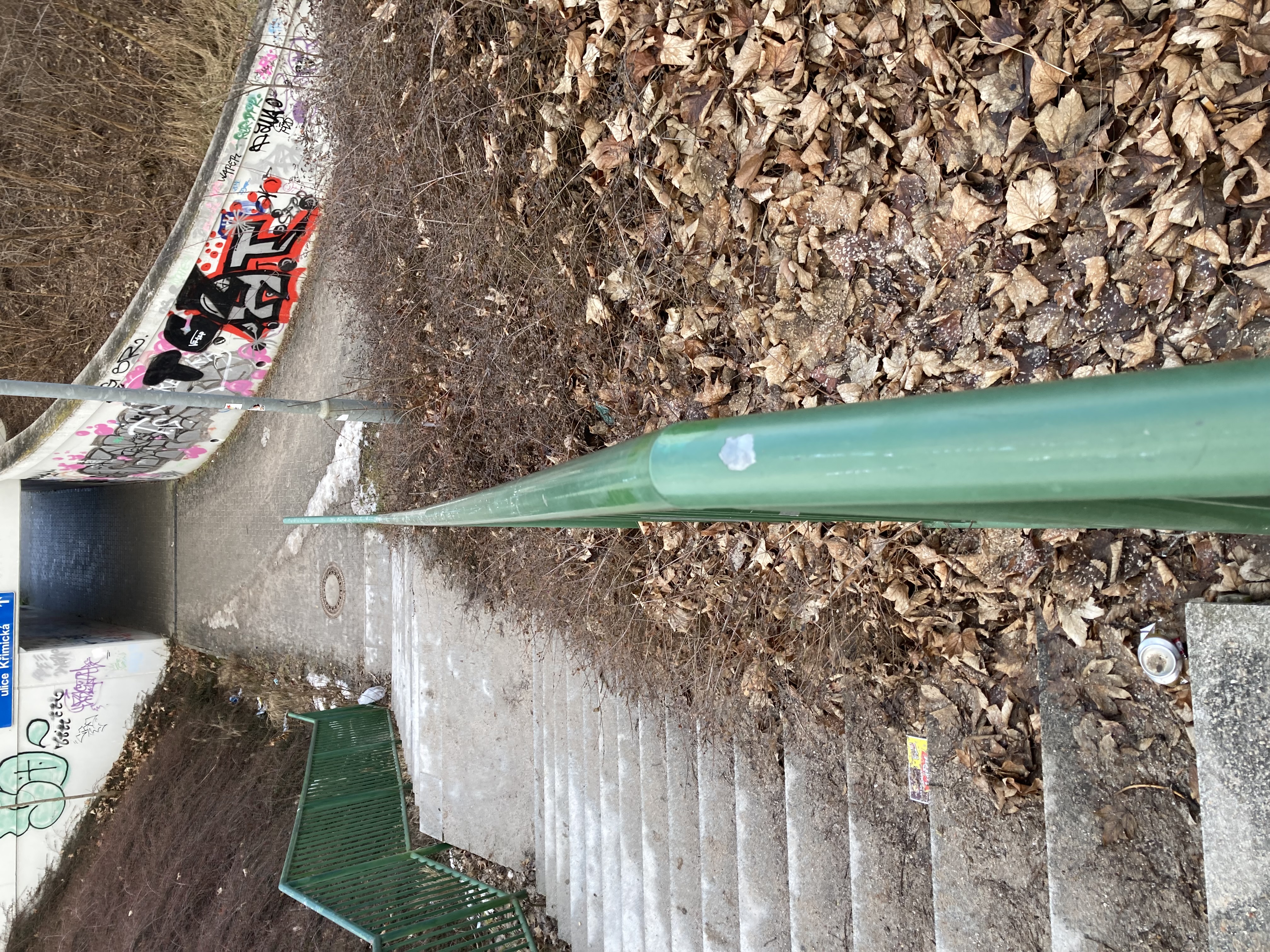 Přerostlá zeleň a odpady