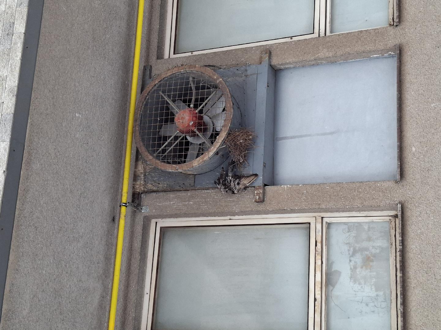 Fotografie nahlášení