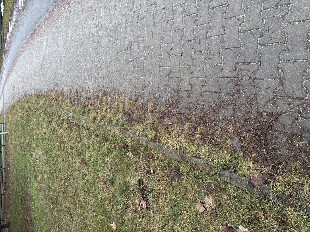 zarůstá chodník trávníkem 