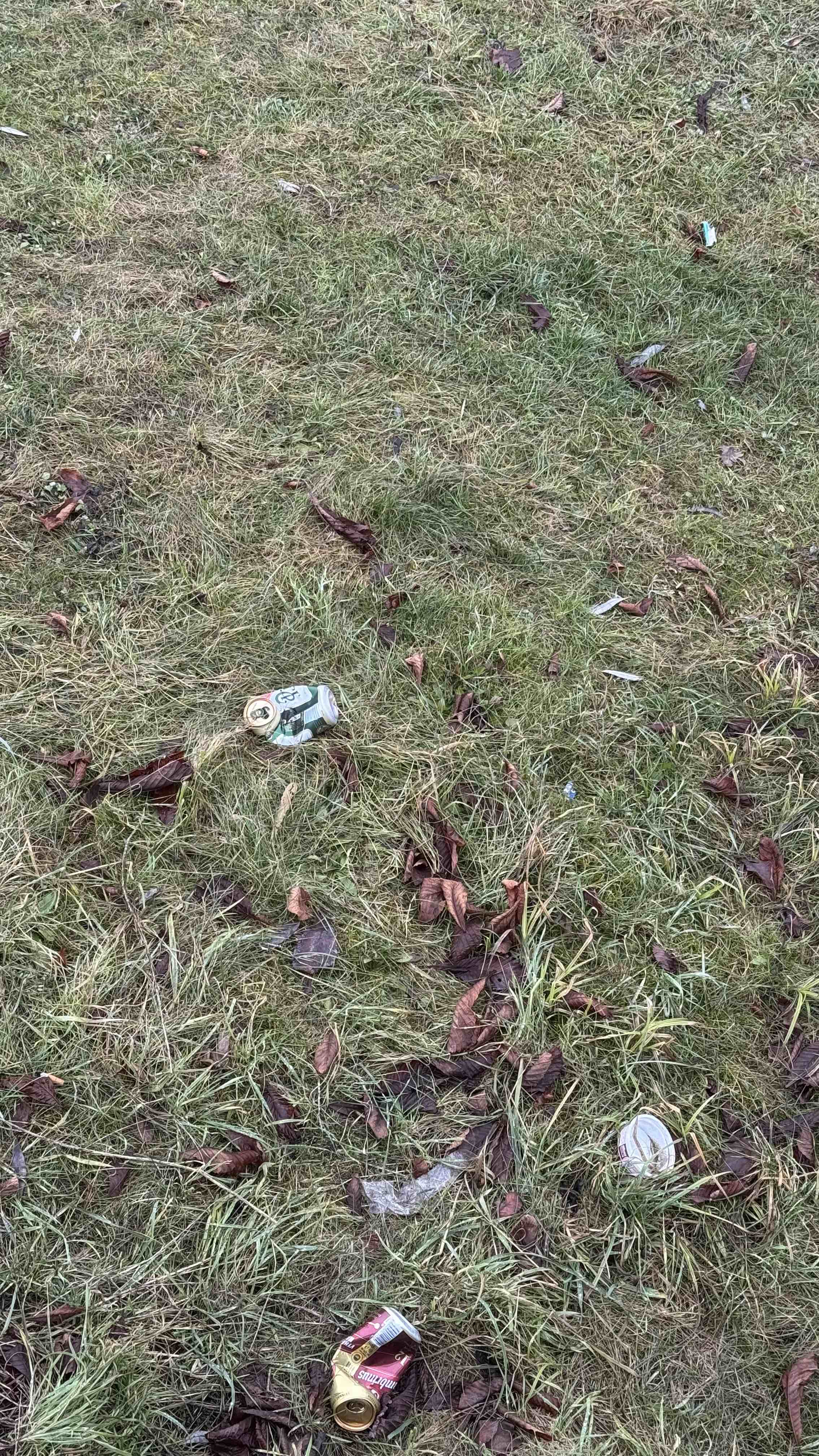 Prostranství u mostu