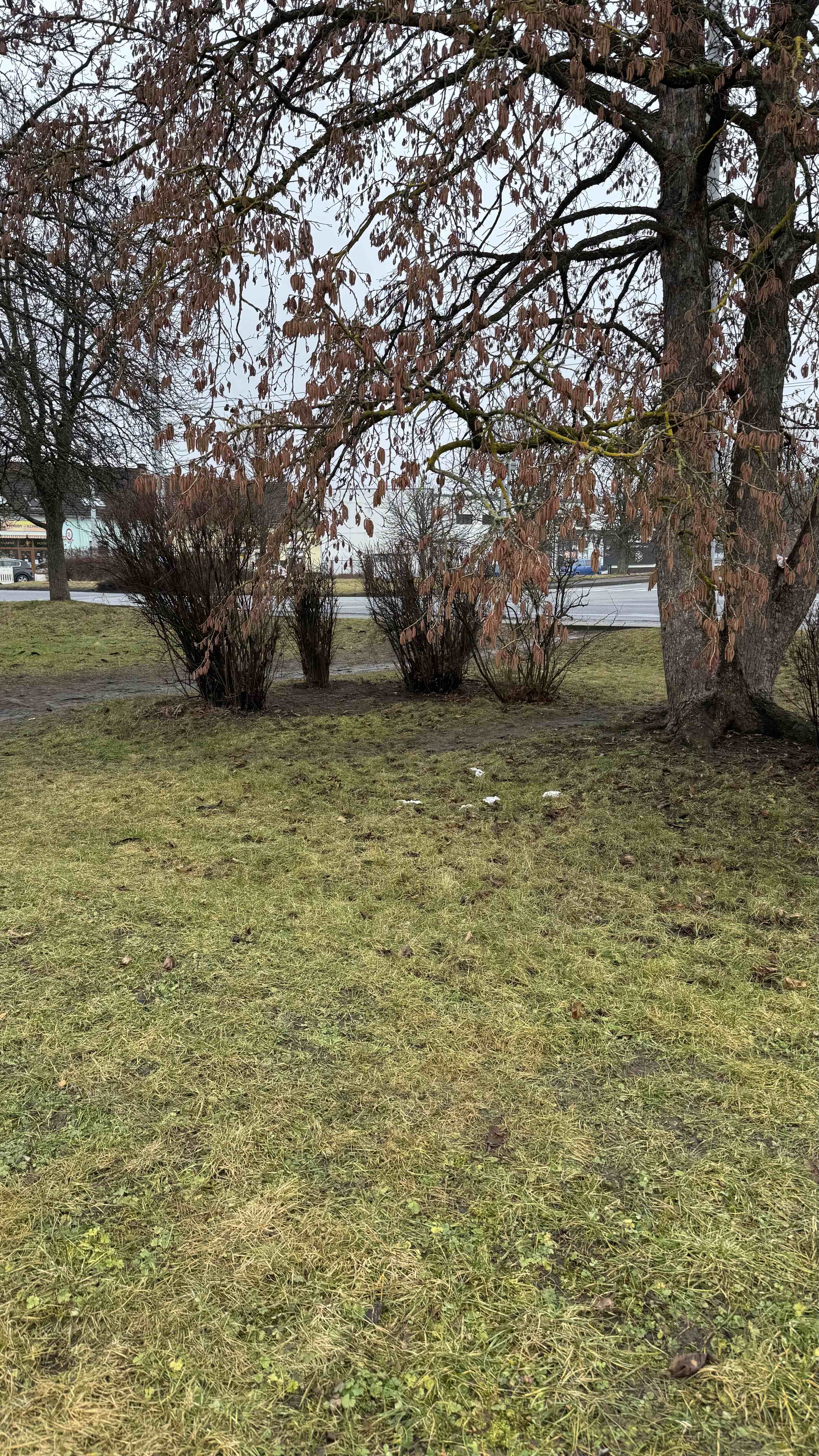 Božkovský park a jeho okolí