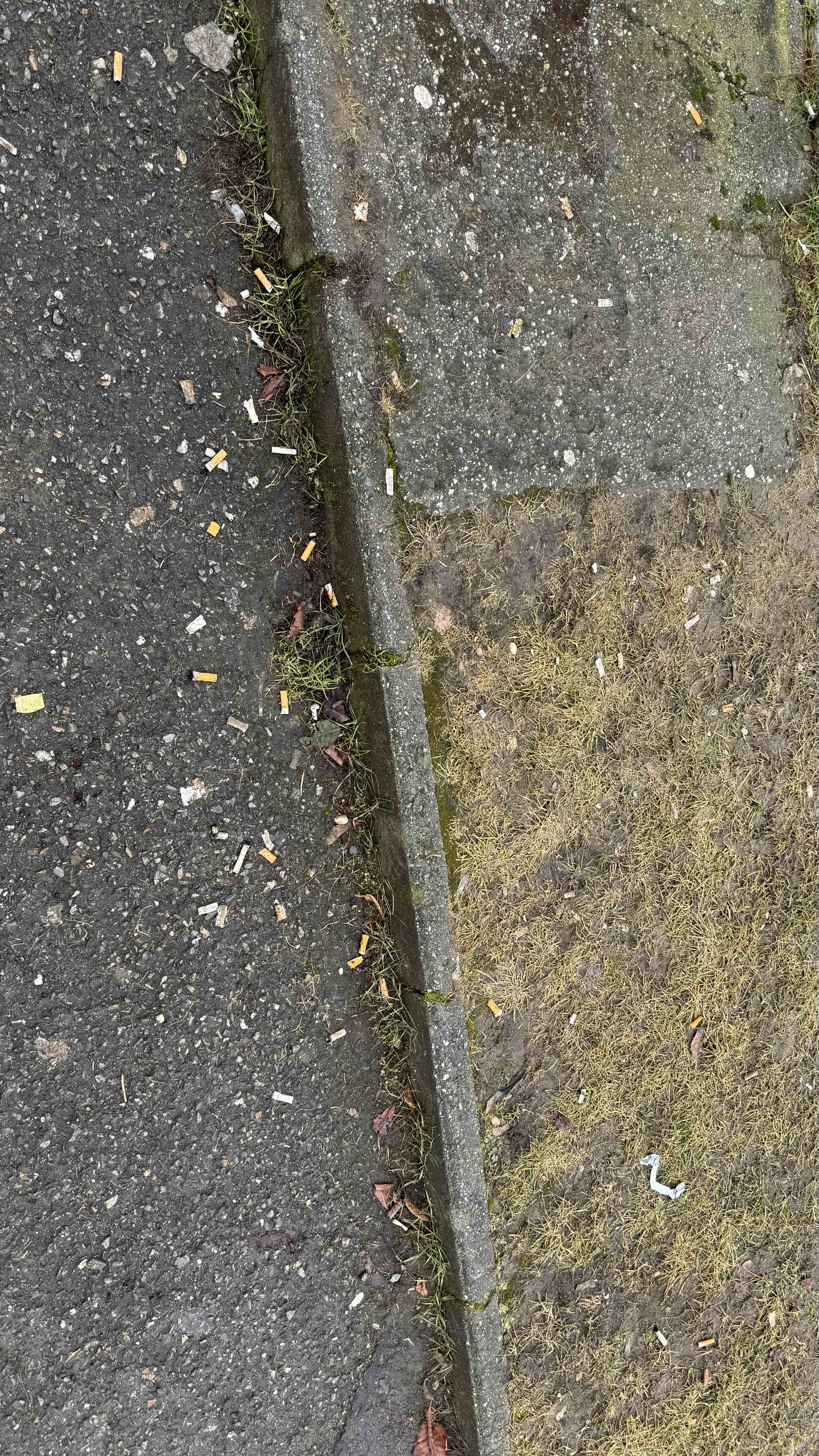 Konečná stanice trolejbusu 12