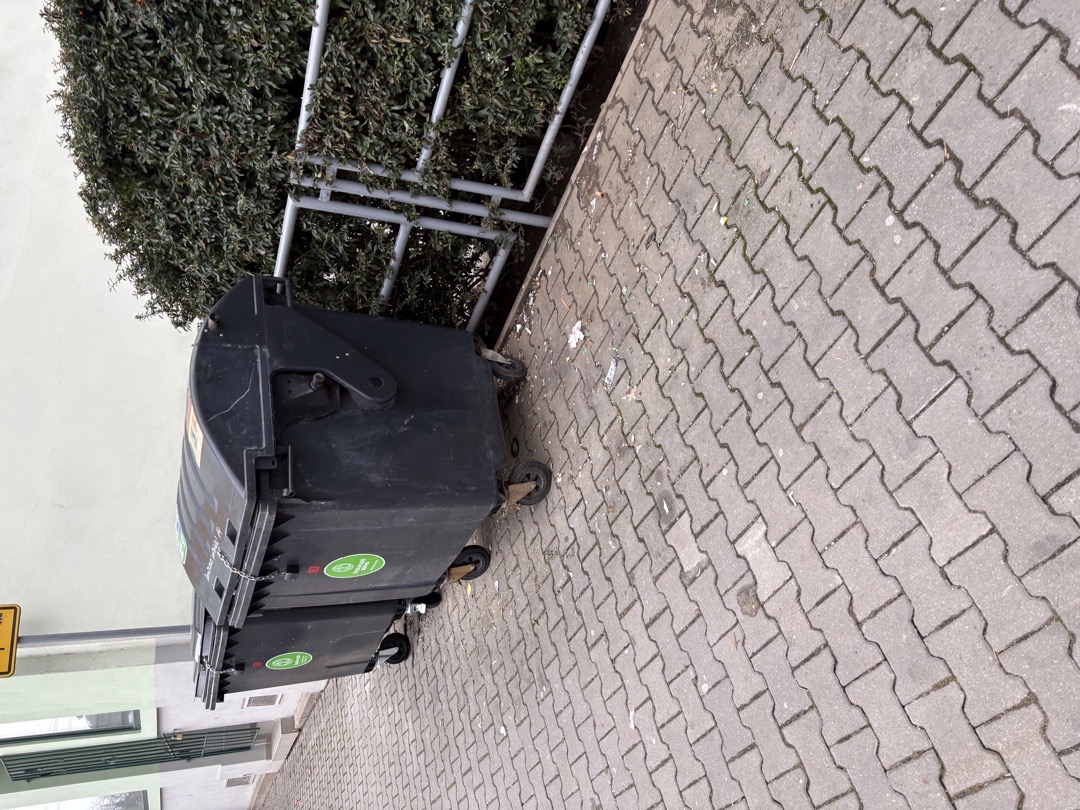 Nepořádek - popelnice