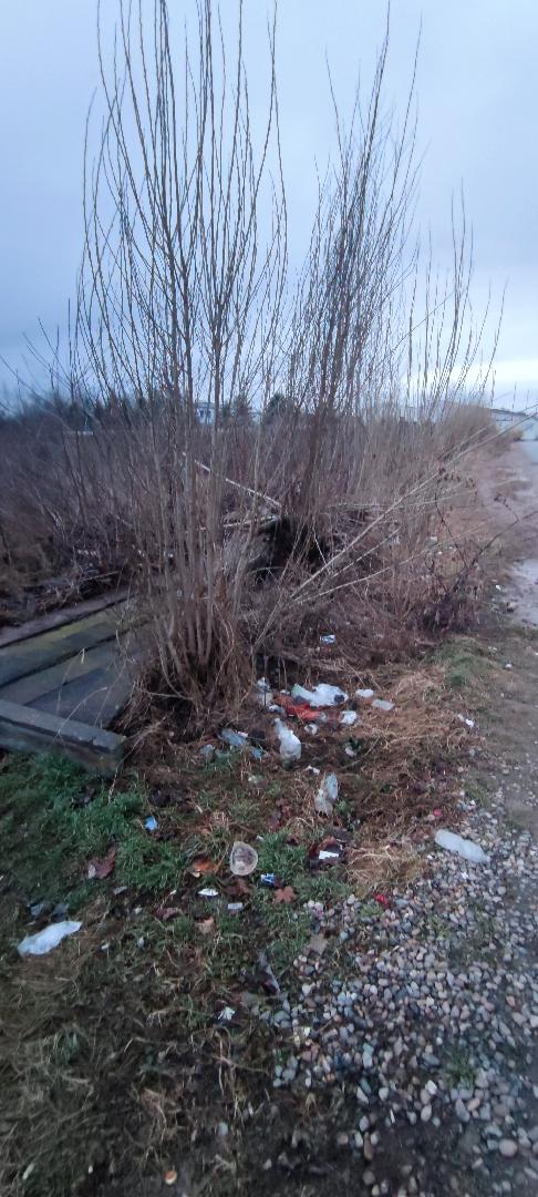 Nepořádek a poničená zeď