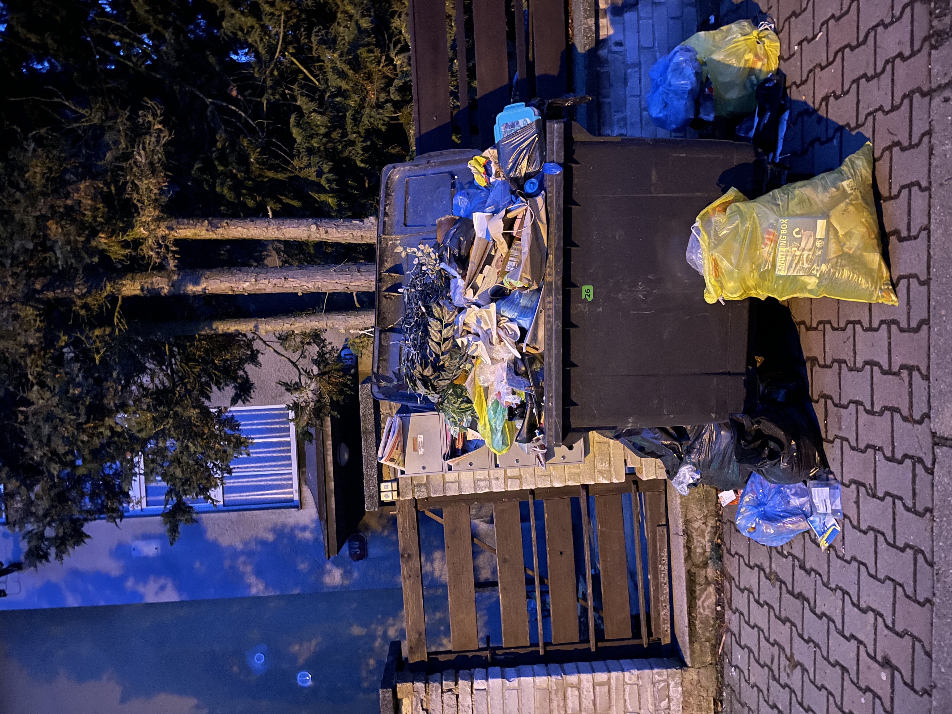 Nepořádek okolo popelnice