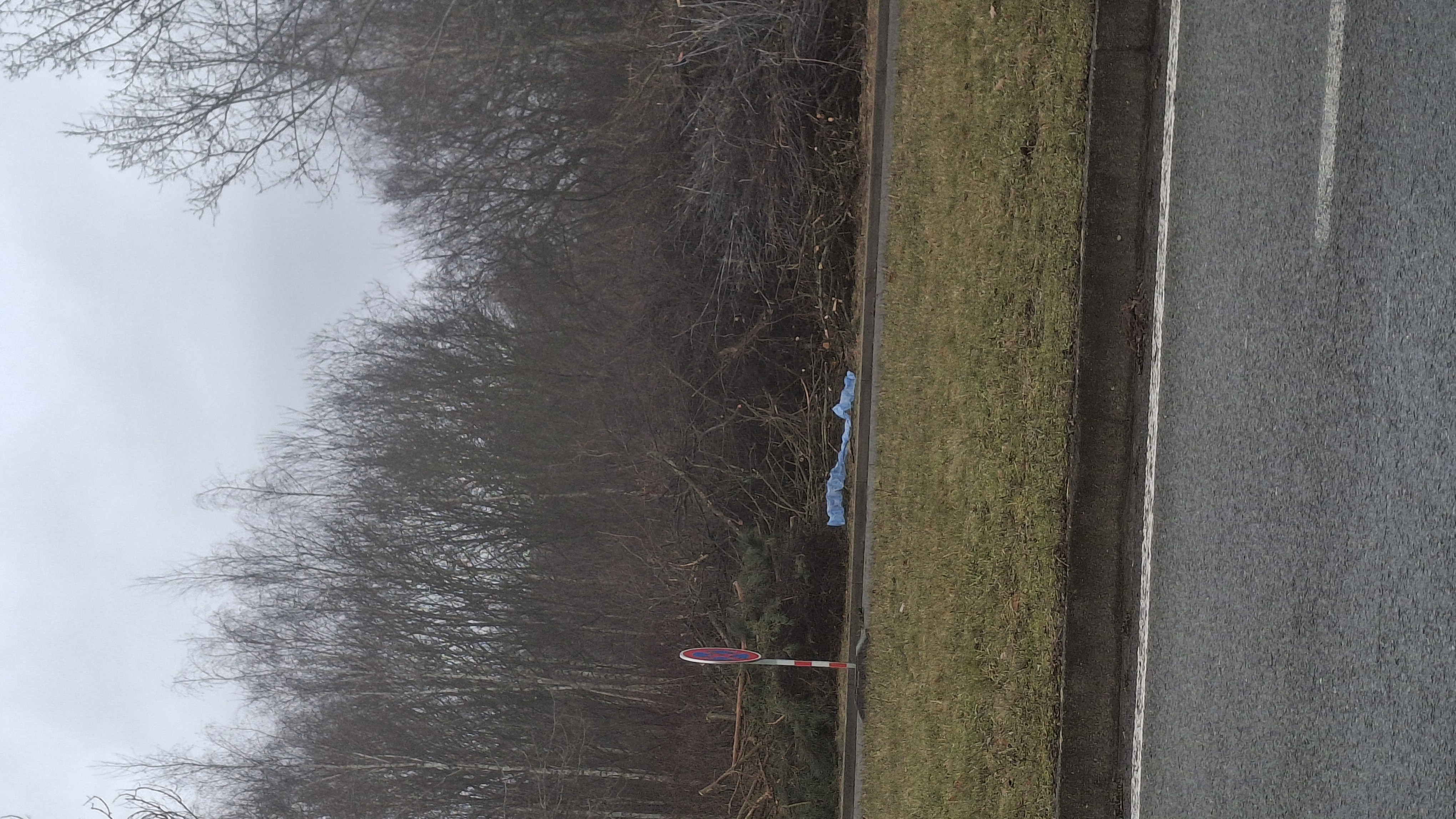 Odpadky u prořezávání