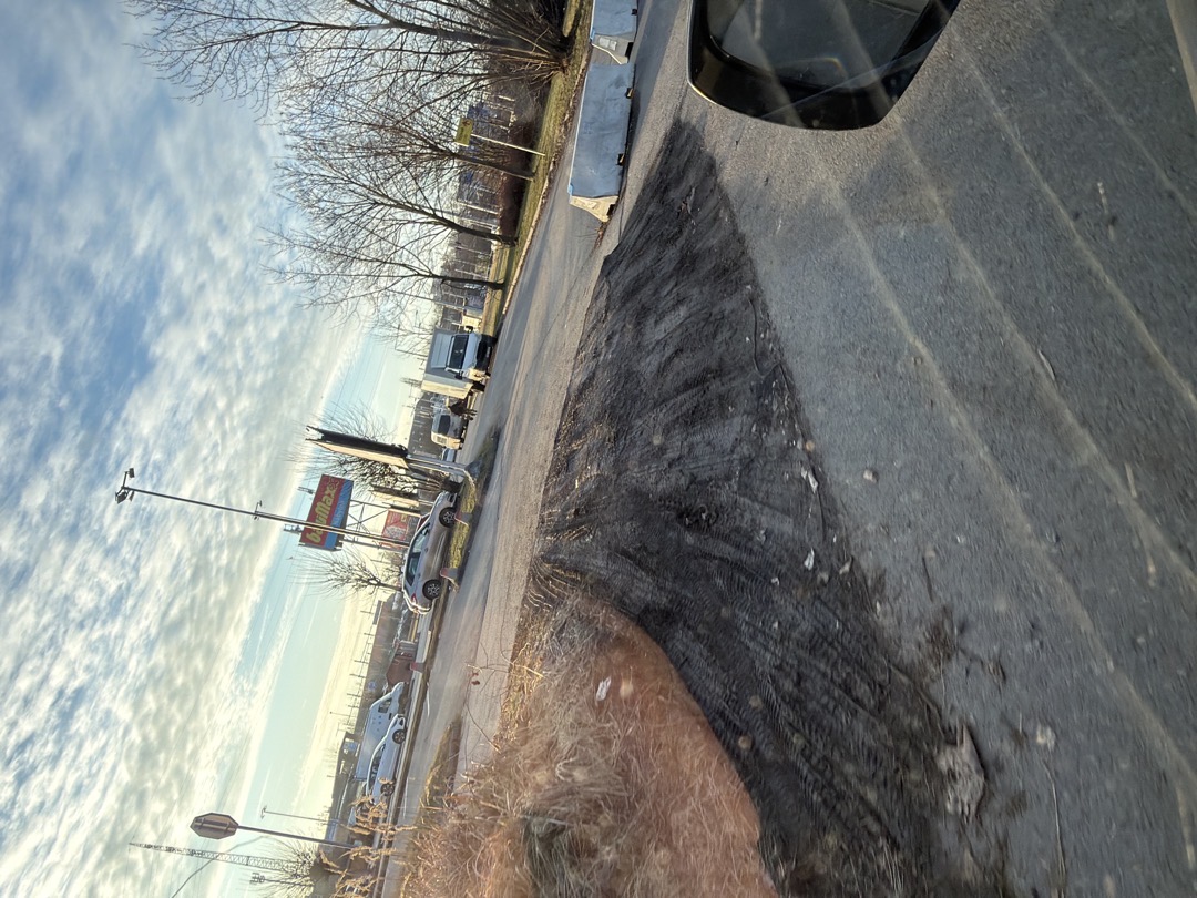 Kompletně zničený trávník