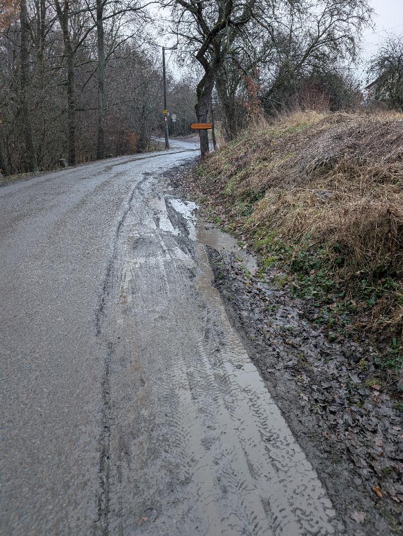 Fotografie nahlášení