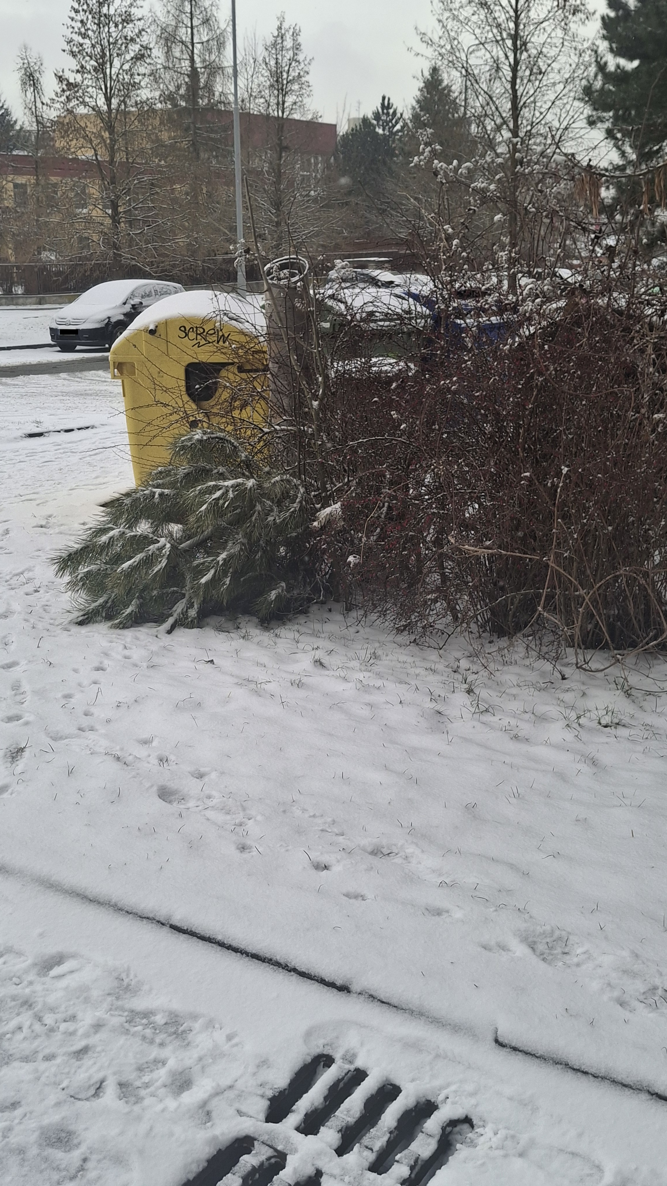 Nepořádek u popelnic