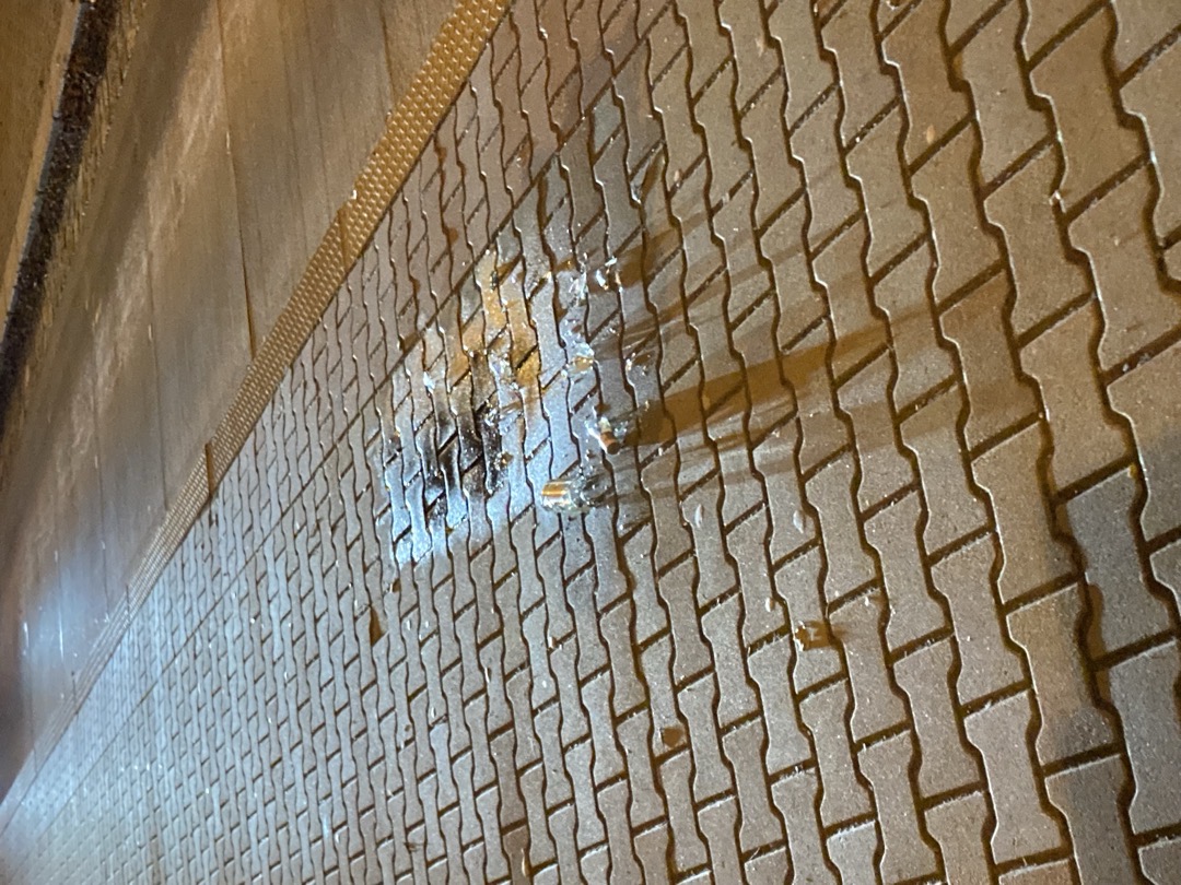 Fotografie nahlášení